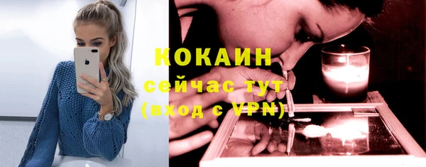 индика Инта