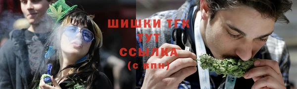 ALPHA PVP Каменка