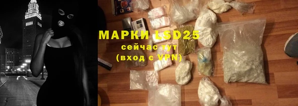 мдпв Инсар