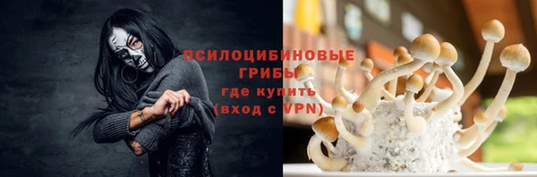 метадон Каменногорск