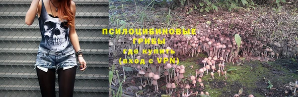 метадон Карталы