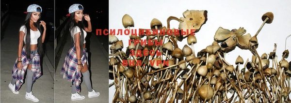 марихуана Карпинск
