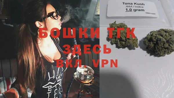 индика Инта