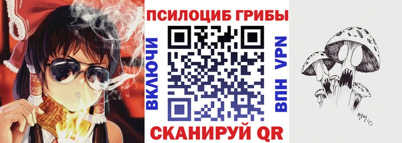 сайты даркнета как зайти  Свободный  Псилоцибиновые грибы MAGIC MUSHROOMS 